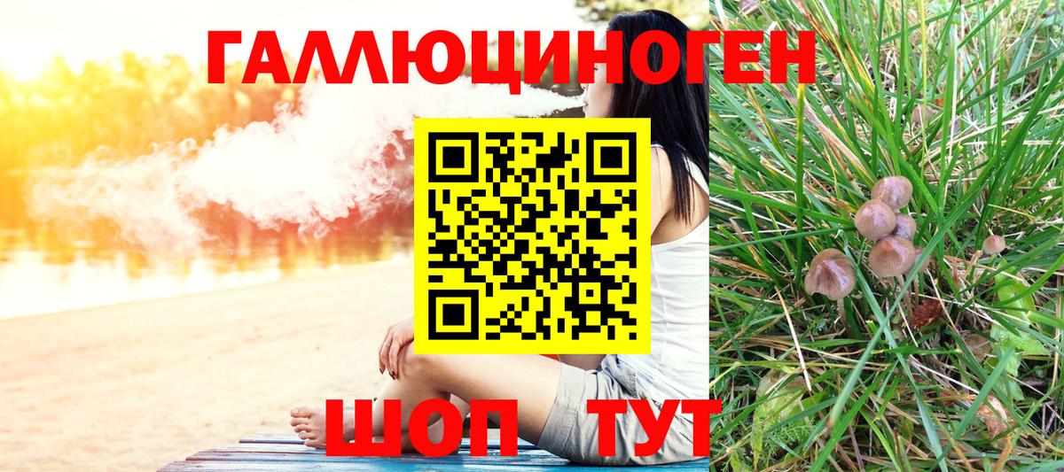 Псилоцибиновые грибы Cubensis Северодвинск